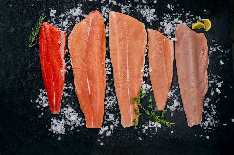 Five Species of Salmon Whole Fillets